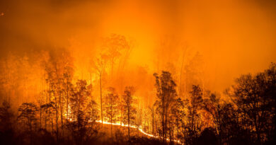 Burns & Wilcox Expands Wildfire Defense Partnership to Texas, New Mexico