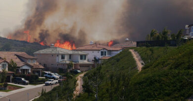 Burns & Wilcox Expands Wildfire Defense Program to Texas and New Mexico