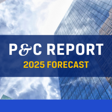 P&C Report: 2025 Forecast