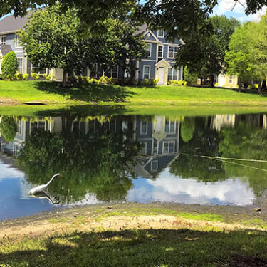 Lawsuit Claims HOA Responsible for ‘Lake’ in Backyard, Damage After Hurricane