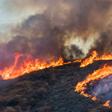 California Wildfire Recovery: A Guide to Insurance Claims, Rebuilding