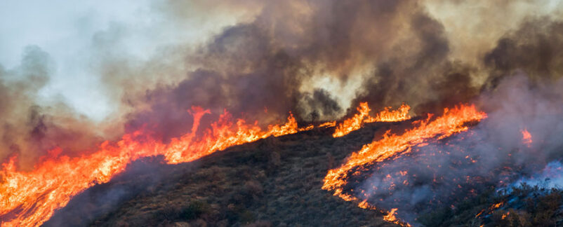 California Wildfire Recovery: A Guide to Insurance Claims, Rebuilding